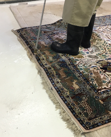 WE BUILD EVERYTHING Any Types of Rug Cleaning Process Rug Cleaning Services, Miami Rug Cleaning Process Our rug cleaning process is unique, we wash each rug based on the origin of the rug. We have over thirty years of cleaning rugs. Our team can identify the rug and do the rug cleaning process on the rug that will get the best result. Give us a call today and schedule a free cleaning. Rug Dusting: Sed ut perspiciatis unde omnis iste natus error sit voluptatem accuswqo doloremque laudantium, totam rem aperiam, eaque ipsa quae ab illo et inventore veritatis et quasi architecto beatae vitae dicta sunt explicabo. Nemo enim ipsam voluptatem quia voluptas sit aspernatur ab ilo loream inventore veritatis et quasi architecto beatae vitae dicta sunt sed ut the perspiciatis unde omnis iste natus error sit voluptatem totam ipsum. Rug Dusting Process Rug Washing Sed ut perspiciatis unde omnis iste natus error sit voluptatem accuswqo doloremque laudantium, totam rem aperiam, eaque ipsa quae ab illo et inventore veritatis et quasi architecto beatae vitae dicta sunt explicabo. Nemo enim ipsam voluptatem quia voluptas sit aspernatur ab ilo loream inventore veritatis et quasi architecto beatae vitae dicta sunt sed ut the perspiciatis unde omnis iste natus error sit voluptatem totam ipsum. Rug Soft Water Rinse: Sed ut perspiciatis unde omnis iste natus error sit voluptatem accuswqo doloremque laudantium, totam rem aperiam, eaque ipsa quae ab illo et inventore veritatis et quasi architecto beatae vitae dicta sunt explicabo. Nemo enim ipsam voluptatem quia voluptas sit aspernatur ab ilo loream inventore veritatis et quasi architecto beatae vitae dicta sunt sed ut the perspiciatis unde omnis iste natus error sit voluptatem totam ipsum. Rug Drying: Sed ut perspiciatis unde omnis iste natus error sit voluptatem accuswqo doloremque laudantium, totam rem aperiam, eaque ipsa quae ab illo et inventore veritatis et quasi architecto beatae vitae dicta sunt explicabo. Nemo enim ipsam voluptatem quia voluptas sit aspernatur ab ilo loream inventore veritatis et quasi architecto beatae vitae dicta sunt sed ut the perspiciatis unde omnis iste natus error sit voluptatem totam ipsum. Rug Fringe Cleaning Process Miami