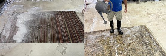 Antique Rug Cleaning Service Wellington