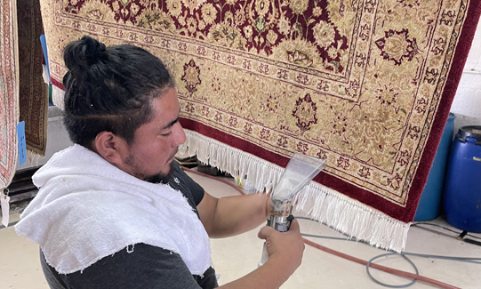Persian Rug Fringe Cleaning