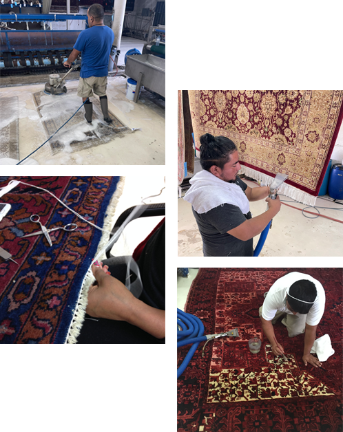 Rug Cleaning & Restoration Services