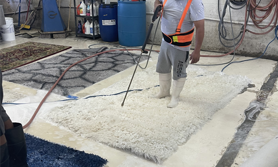 Best Wool Rug Cleaning Services
